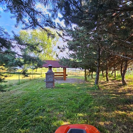 Apartamenty Jasmin I Lilia Jez. Sunowo Kolo Elku Chrzanowo Exterior foto